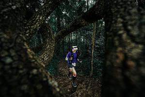 BIB: 
                            <button type="button" onclick="openModal(25677670)" class="btn btn-primary btn-sm float-right btn-popup" data-toggle="modal" data-target=".modal-high-quality">
                        <i class="fas fa-shopping-cart"></i> Add to Cart
                    </button>
                                            <button type="button" onclick="isThisMe(25677670, true)" class="btn btn-success btn-sm float-right btn-popup btn-isme hidden" data-toggle="tooltip" data-placement="bottom" title="นี่คือรูปของคุณใช่ไหม คลิกที่นี่เพื่อเอาเข้าอัลบั้ม">
                        <i class="fas fa-plus"></i> Add to album
                    </button>
                    <button type="button" onclick="isThisMe(25677670, false)" class="btn btn-warning btn-sm float-right btn-popup btn-isnotme hidden">
                        <i class="fas fa-ban"></i> Remove from album
                    </button>